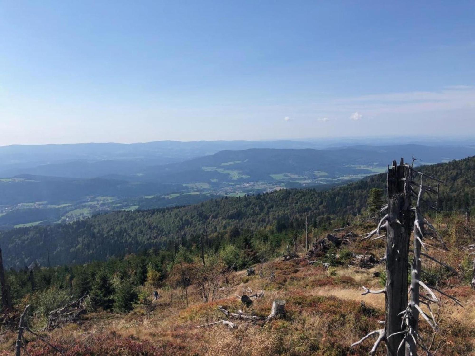 Apartment In The Bavarian Forest With Balcony ครัคเซลสรีด ภายนอก รูปภาพ